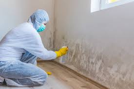 Best Post-Construction Mold Inspection in Newpt, OR